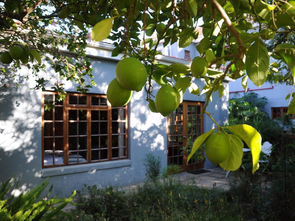 House Of House Guest House Стеленбош Екстериор снимка