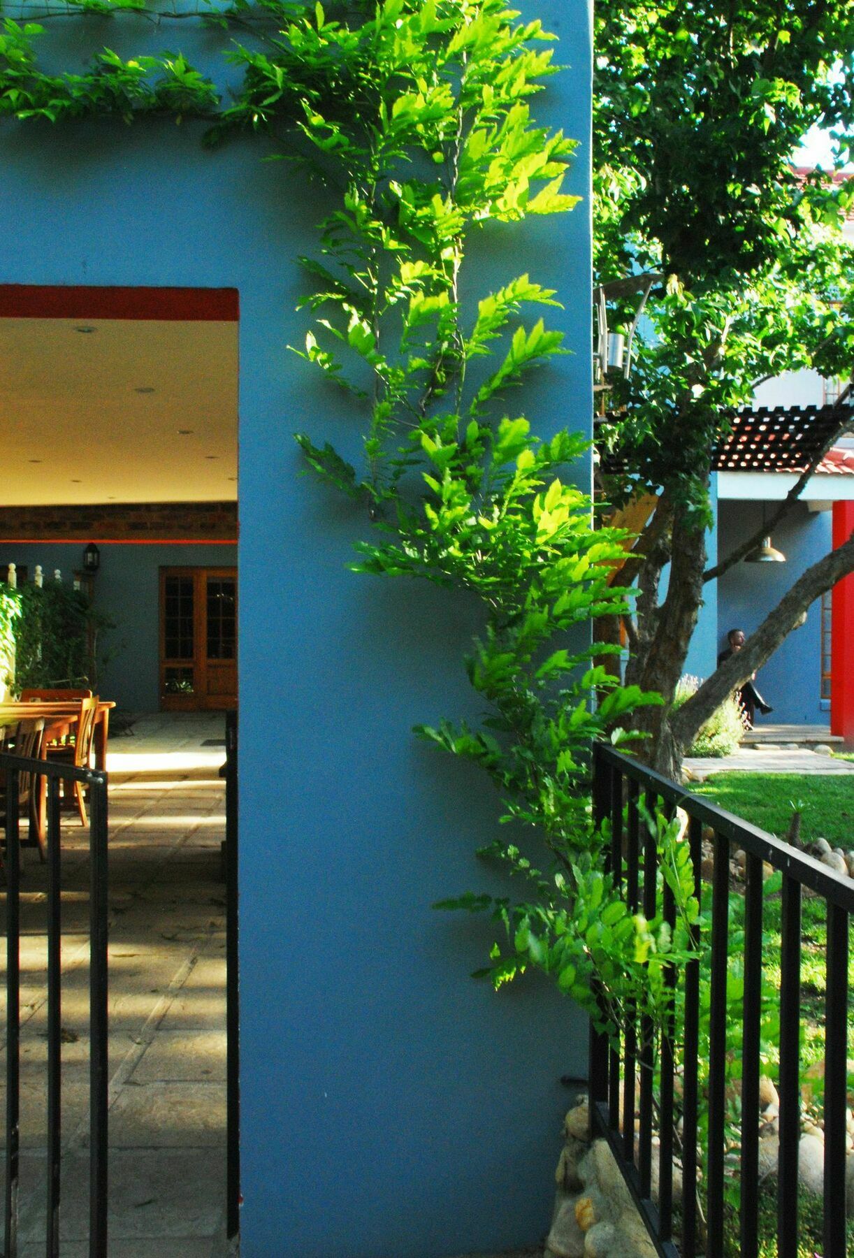 House Of House Guest House Стеленбош Екстериор снимка